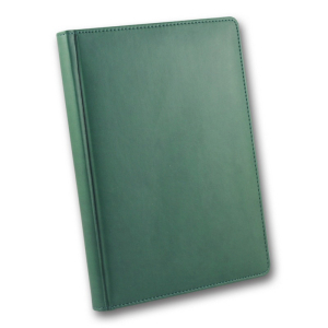 ЗВ-55 WINNER Бриск